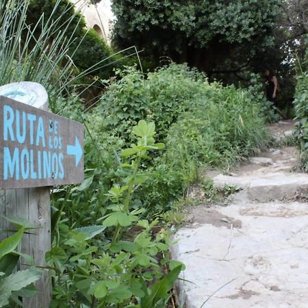 Casa La Maceta Villa Cádiz Eksteriør billede