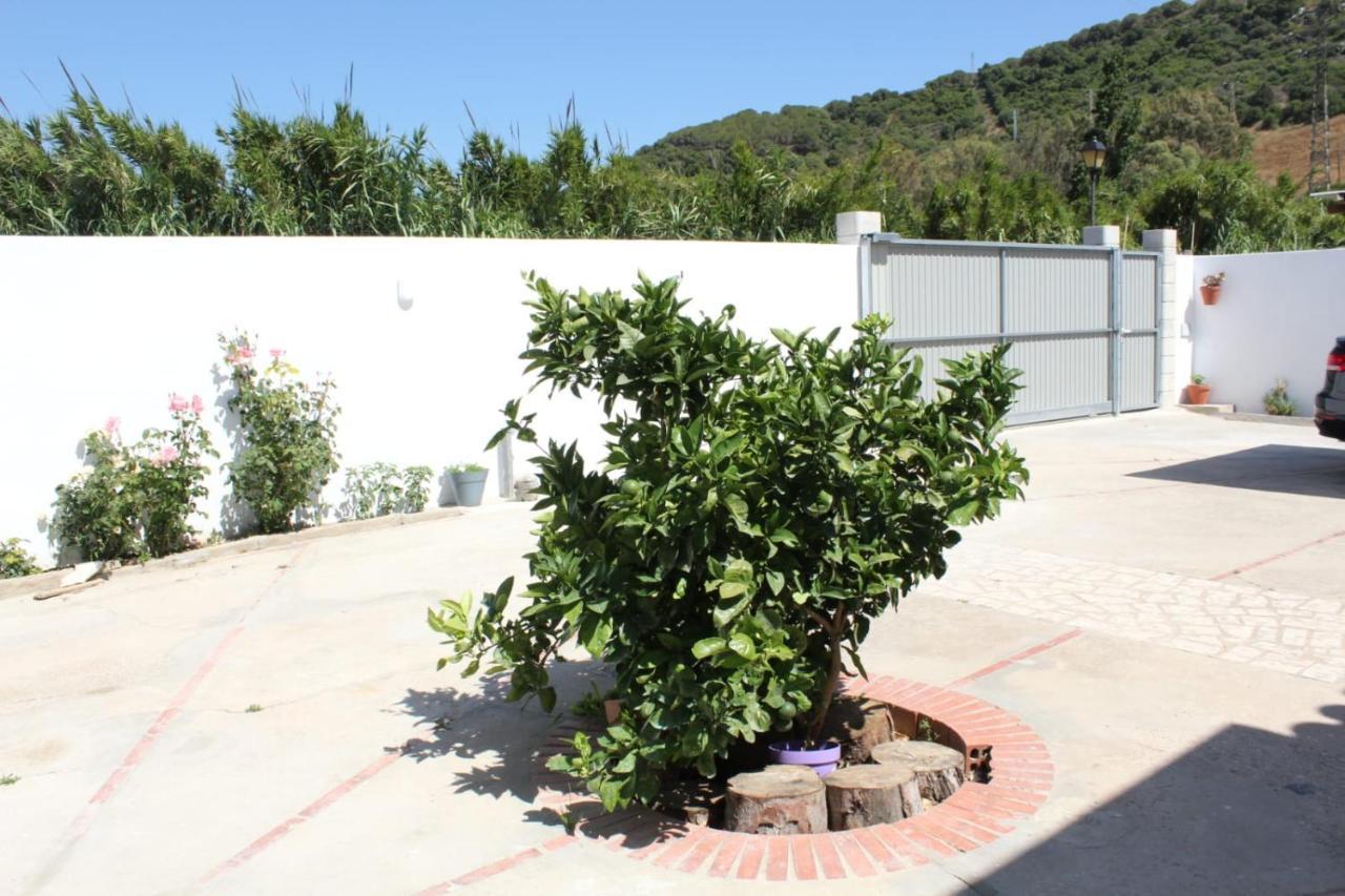 Casa La Maceta Villa Cádiz Eksteriør billede